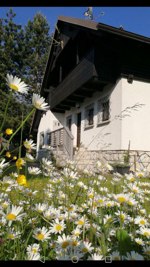 River House Hrib Preddvor Bagian luar foto